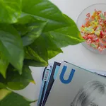 Valenza Exclusive & Maison d'hôtes 4*